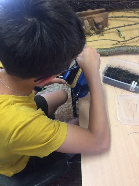 ✨ Atelier Famille : Fabrique ton Mini-Balai de Sorcière ! - Oise.fun