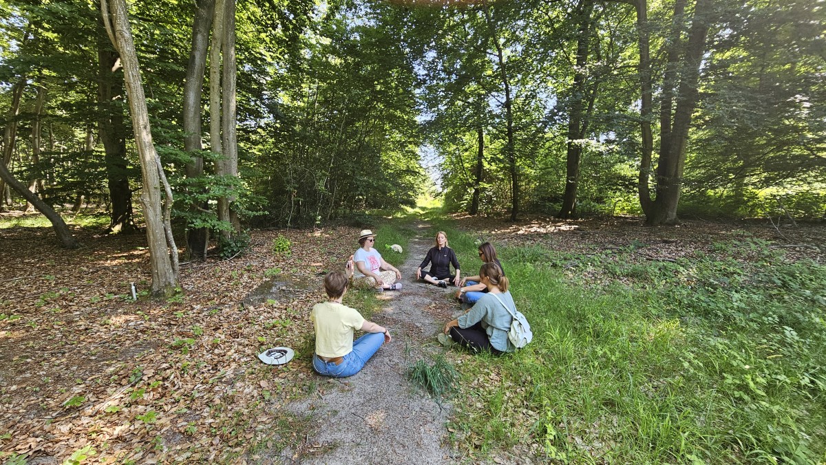 Bain de forêt ;  plongée en immersion  et déconnectez vous - Oise.fun Bain de forêt ;  plongée en immersion  et déconnectez vous - Oise.fun