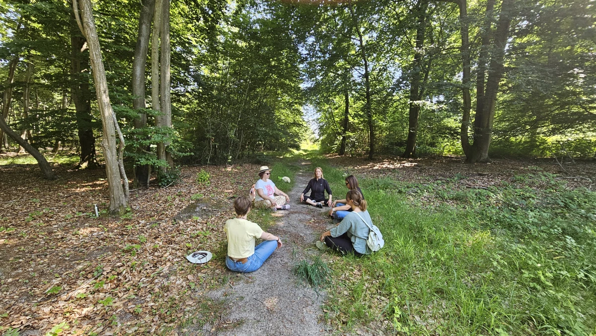 Bain de forêt – Plongée en immersion et déconnexion totale - Oise.fun