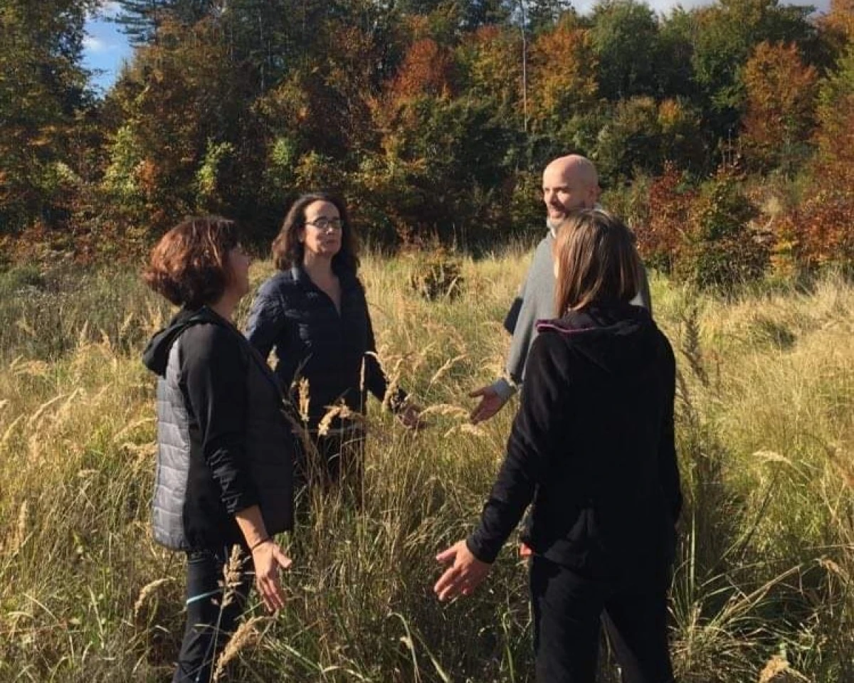 Expérience nature & respiration – une immersion sensorielle en forêt - Oise.fun