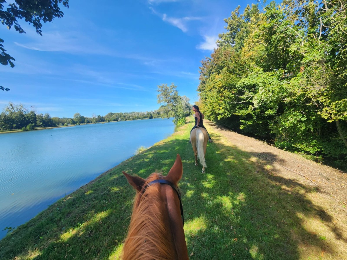 Balade à cheval dans le Beauvaisis - Oise.fun