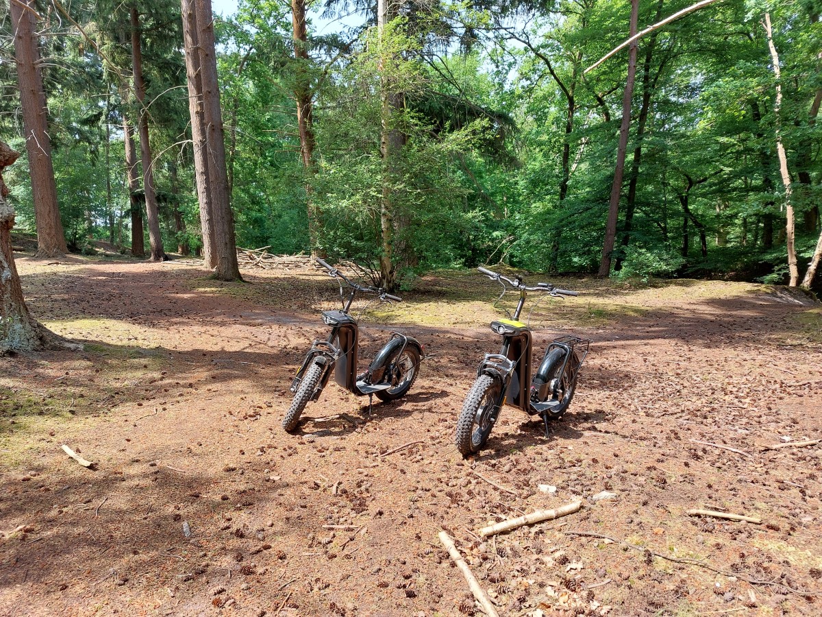 balade des marais - Oise.fun