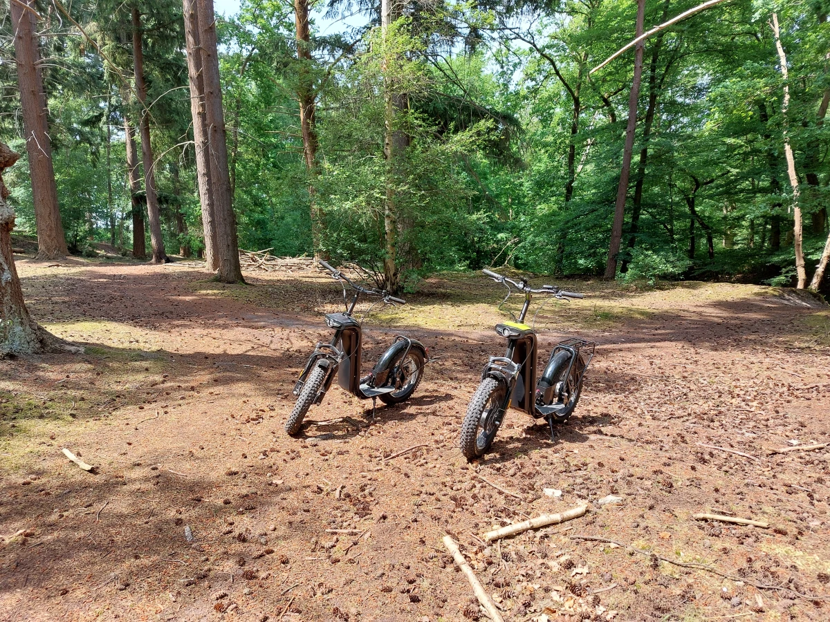 Marais de Sacy - Balade guidée en trottinette cross - Oise.fun