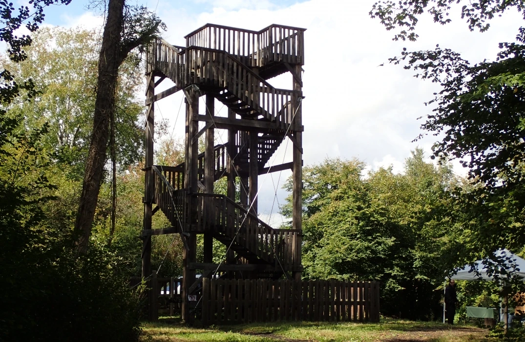 Marais de Sacy - Balade guidée en trottinette cross - Oise.fun