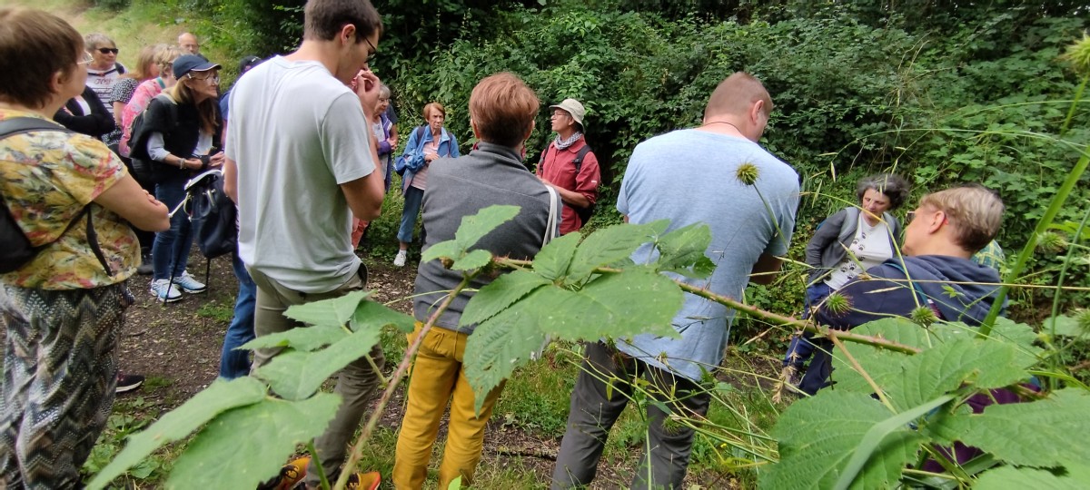 Balade gourmande au départ de Blacourt - Oise.fun