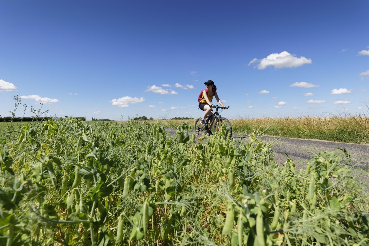 Balade guidée à vélo à Labosse – Entre villages et trésors cachés - Oise.fun
