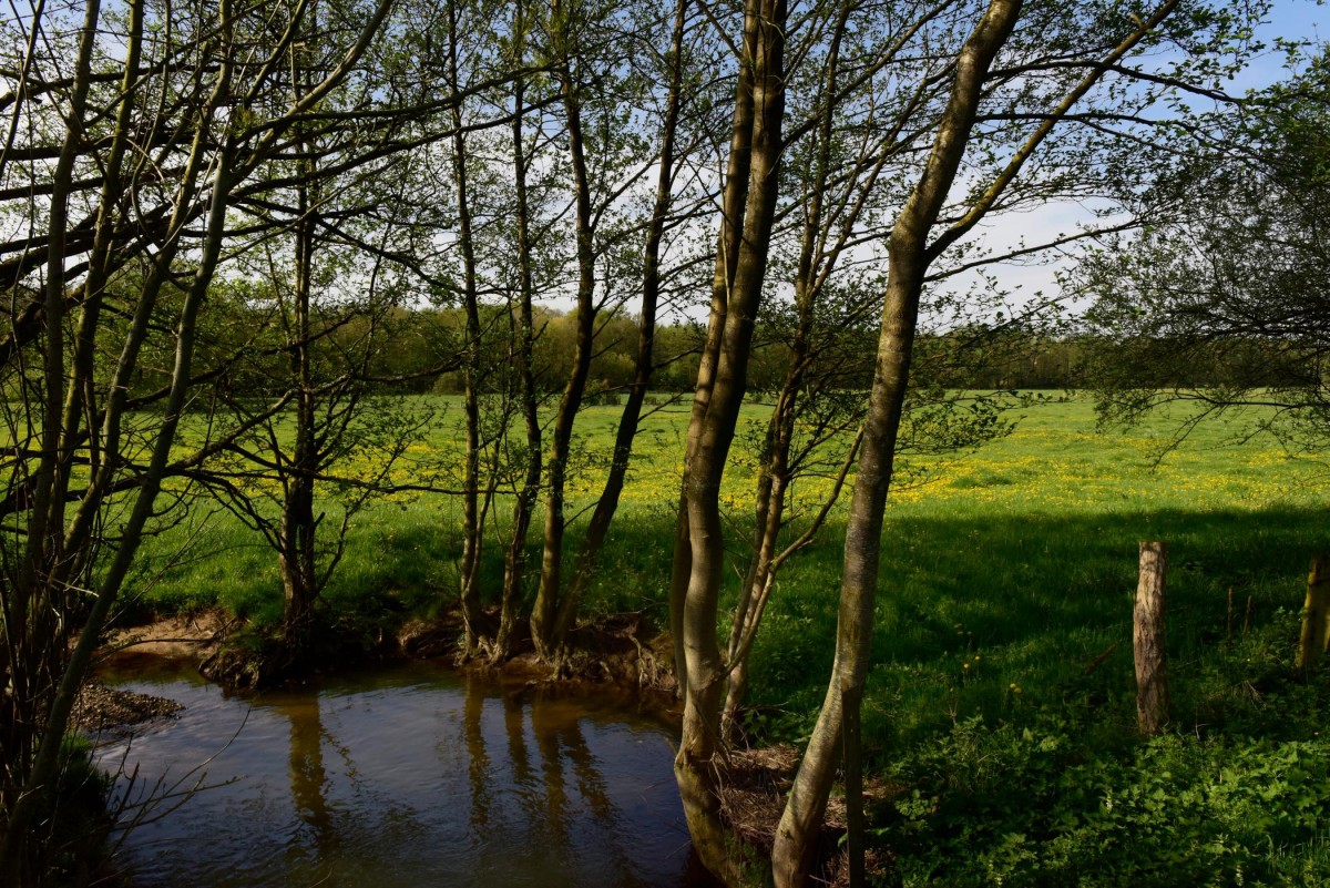 Balade guidée à vélo à Lachapelle-aux-Pots - Oise.fun