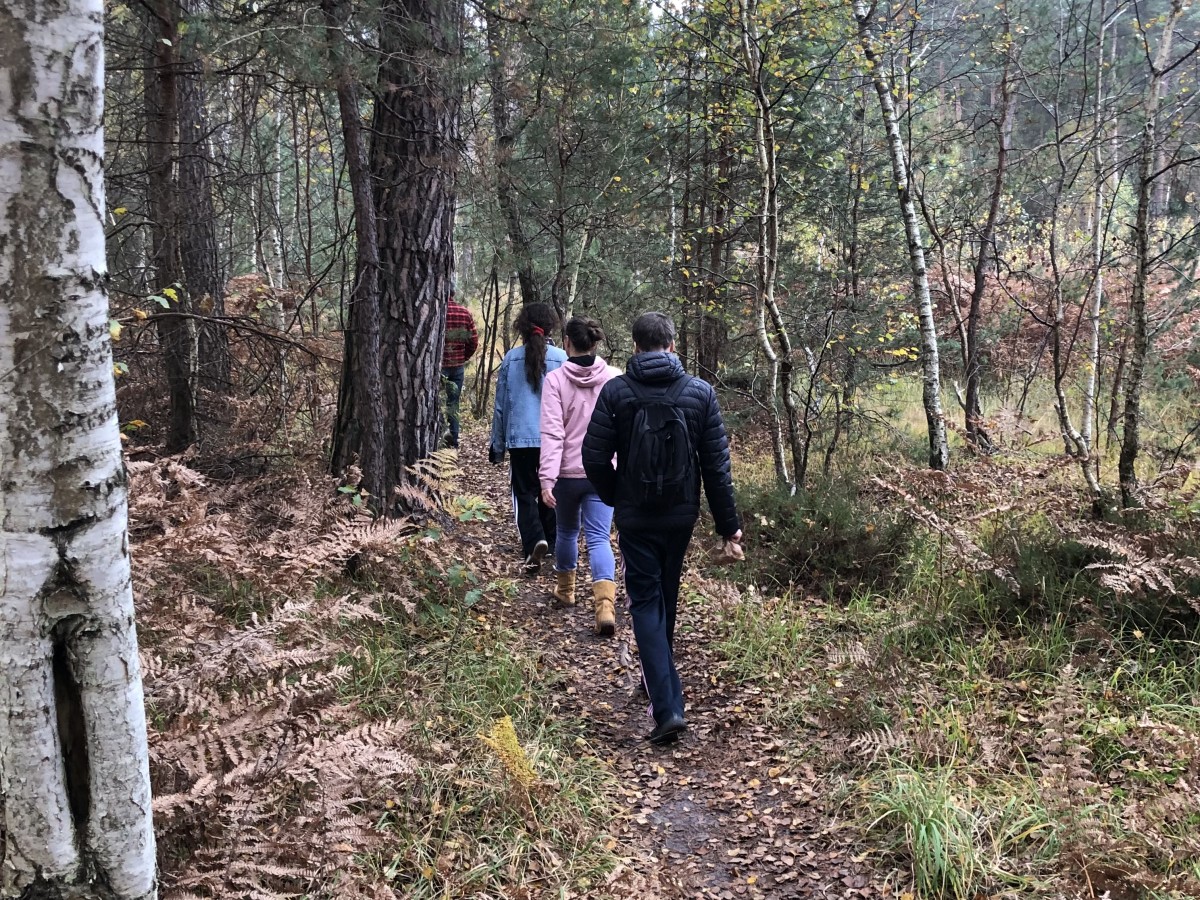 Balade immersive en forêt – Tous vos sens en éveil  - Oise.fun Balade immersive en forêt – Tous vos sens en éveil  - Oise.fun