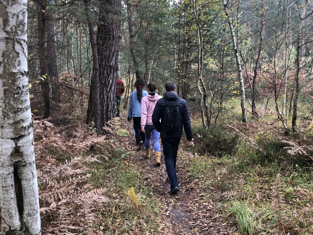Balade immersive en forêt – Tous vos sens en éveil - Oise.fun