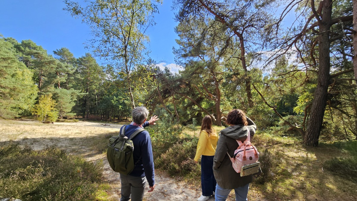 Balade immersive sur mesure dans le Massif des Trois Forêts, pour 1 ou 2 personnes. - Oise.fun