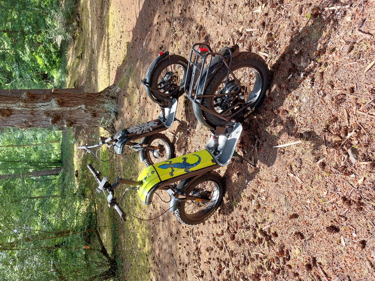 Balade initiation – Trottinette électrique tout-terrain & nature - Oise.fun