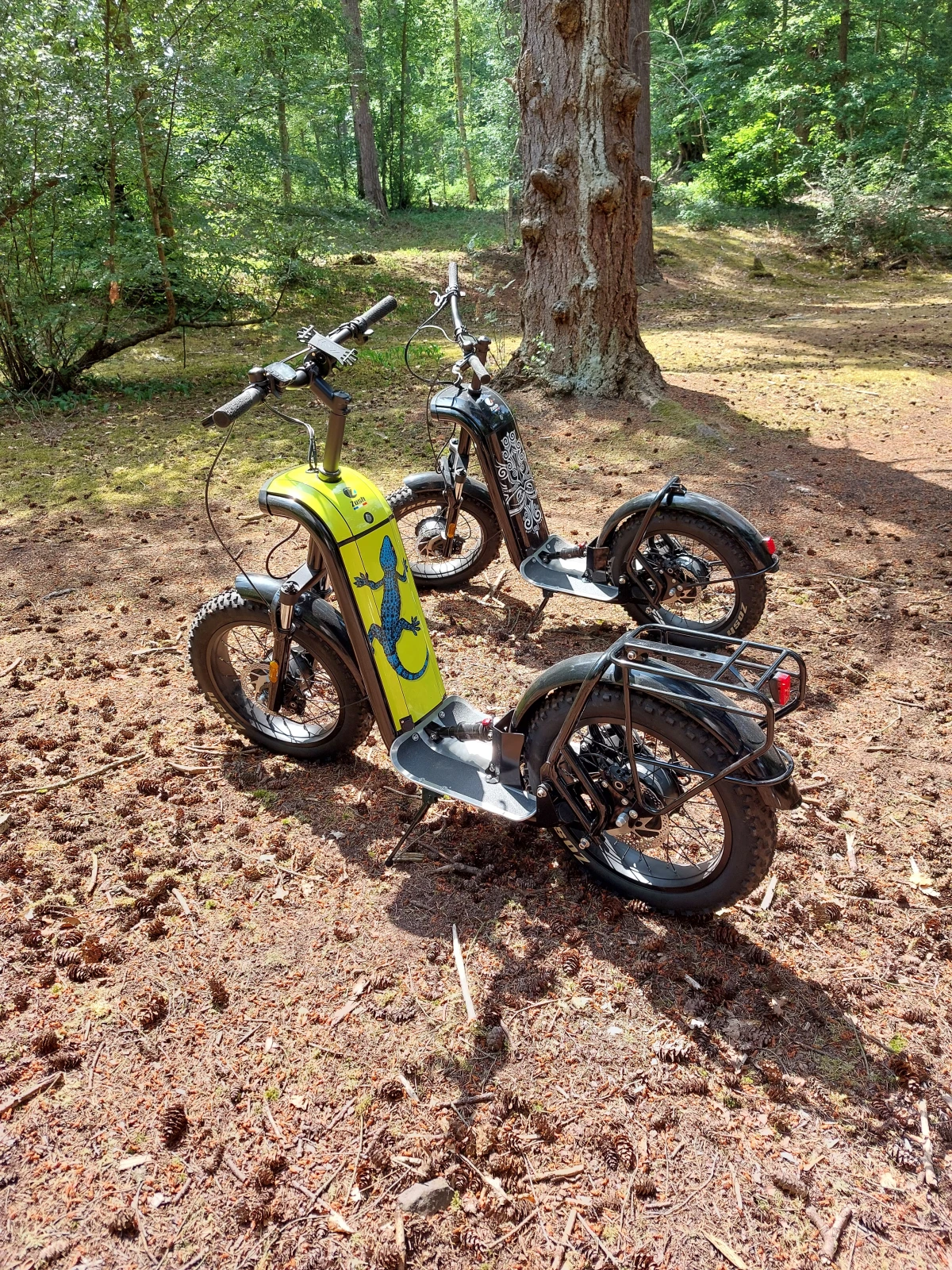 Balade Initiation – 1h d’aventure nature en trottinette cross électrique - Oise.fun