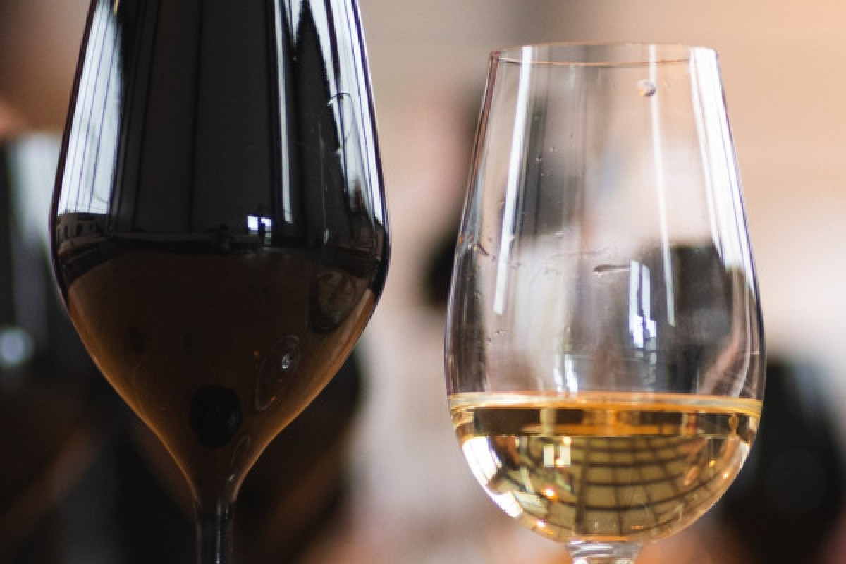 Cours d’œnologie à Barbery – Les secrets du vin révélés par Dionysa - Oise.fun