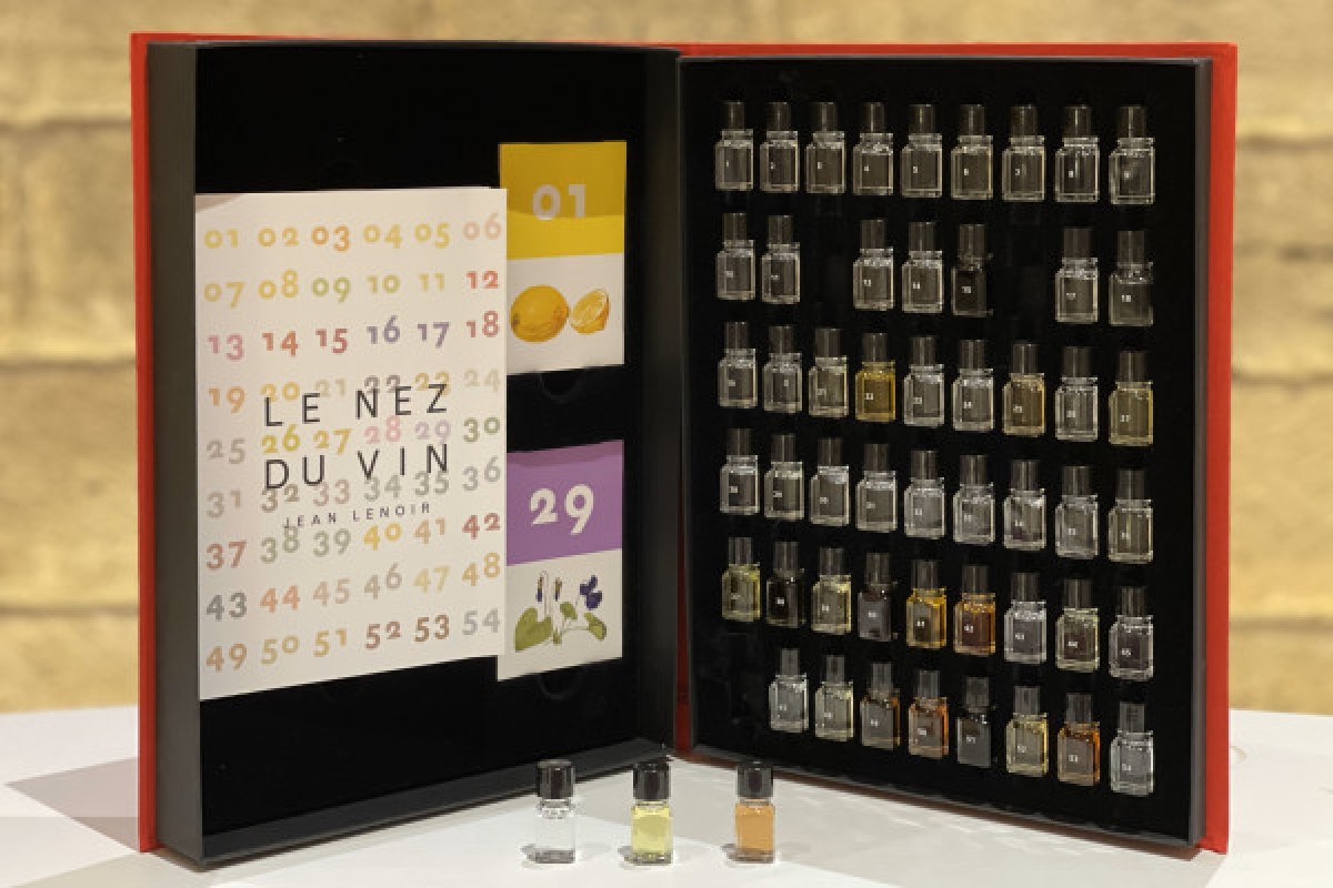 Cours d’œnologie à Barbery – Les secrets du vin révélés par Dionysa - Oise.fun