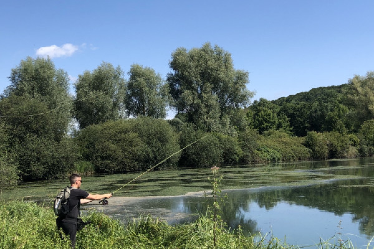 Cours de lancer pêche à la mouche - Oise.fun