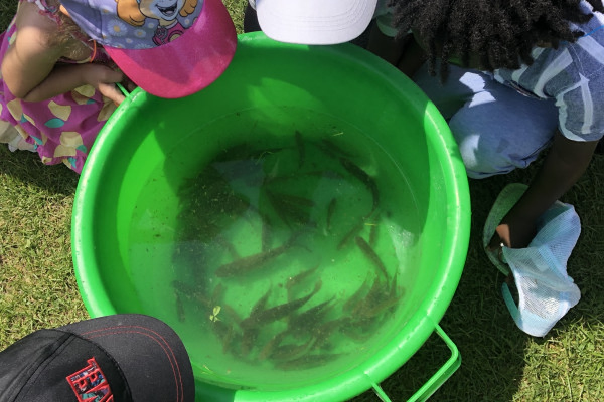 Journée Pêche pour enfants à Beauvais – Apprendre en s’amusant avec Frédéric ! - Oise.fun