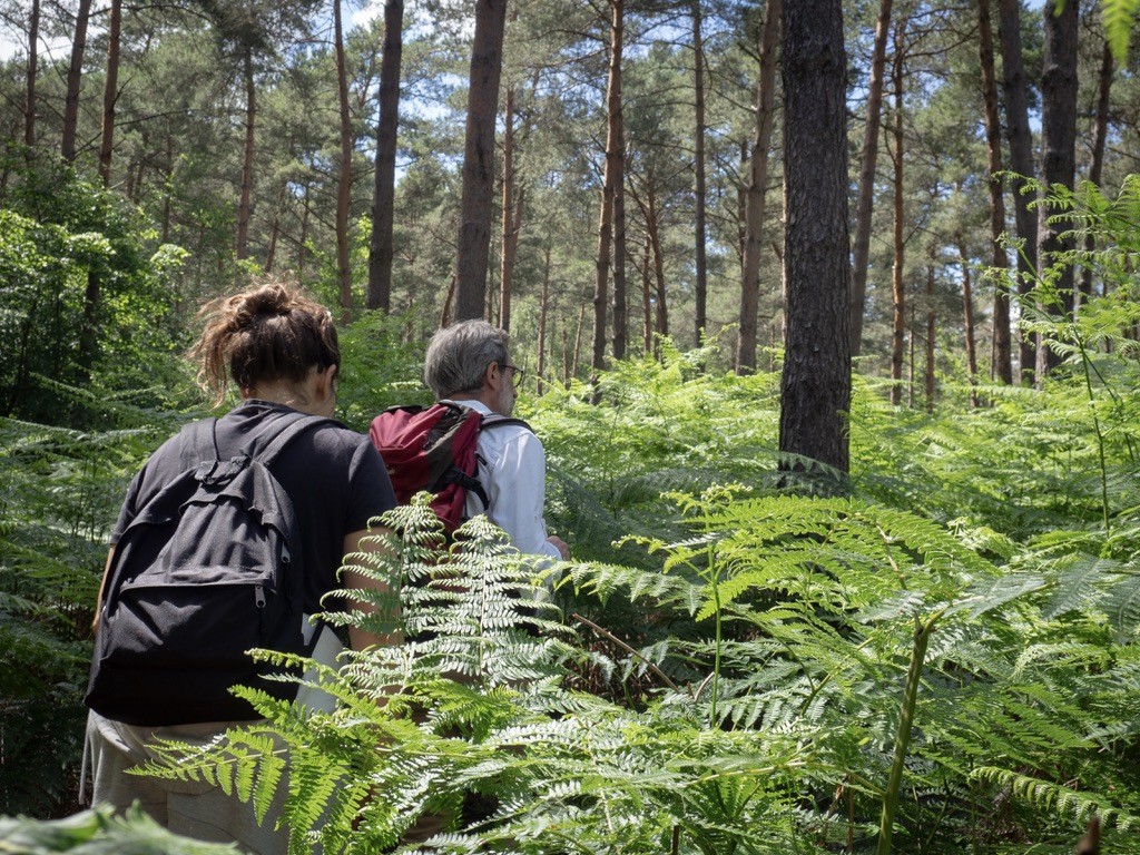 Micro-aventure – Une journée pour (re)découvrir la forêt - Oise.fun