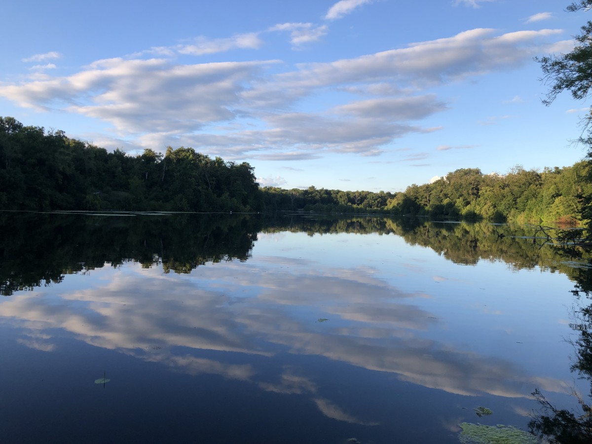 Micro-aventure – Une journée pour (re)découvrir la forêt - Oise.fun