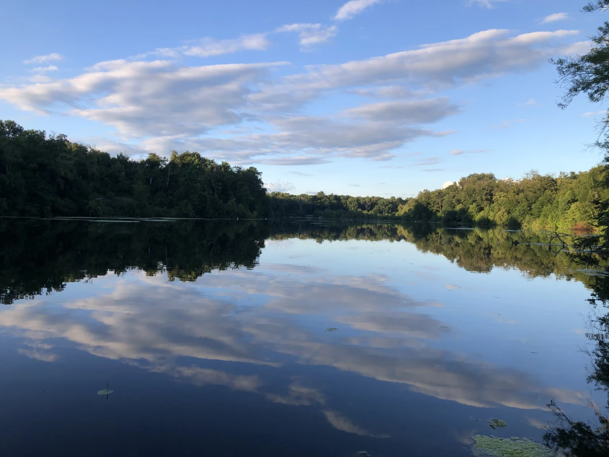 Micro-aventure – Une journée pour (re)découvrir la forêt - Oise.fun