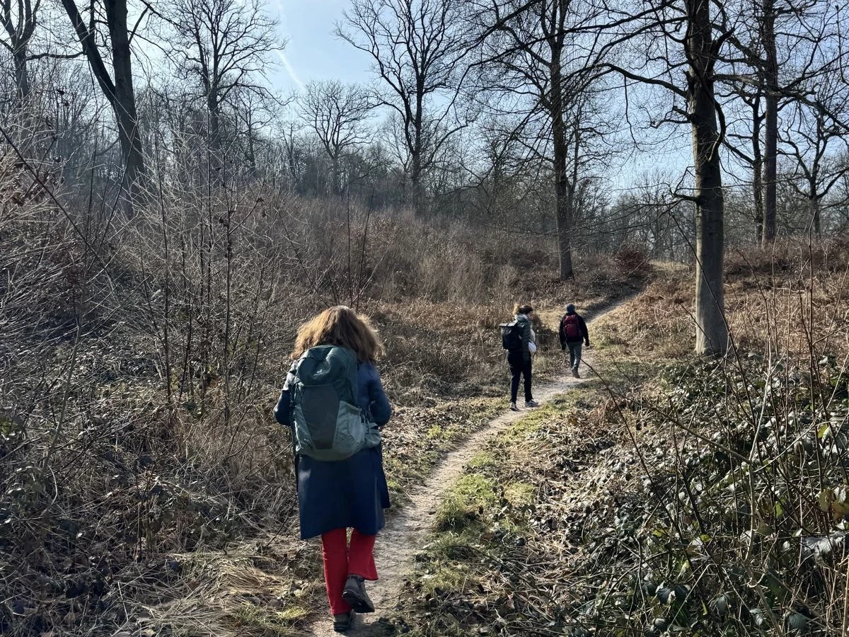 Micro-aventure – Une journée pour (re)découvrir la forêt - Oise.fun