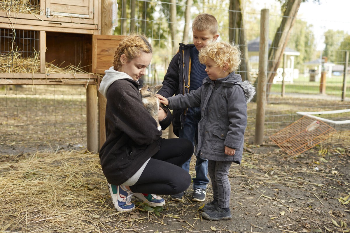 Mini-fermier – Rencontre avec les animaux au Parc Chédeville - Oise.fun