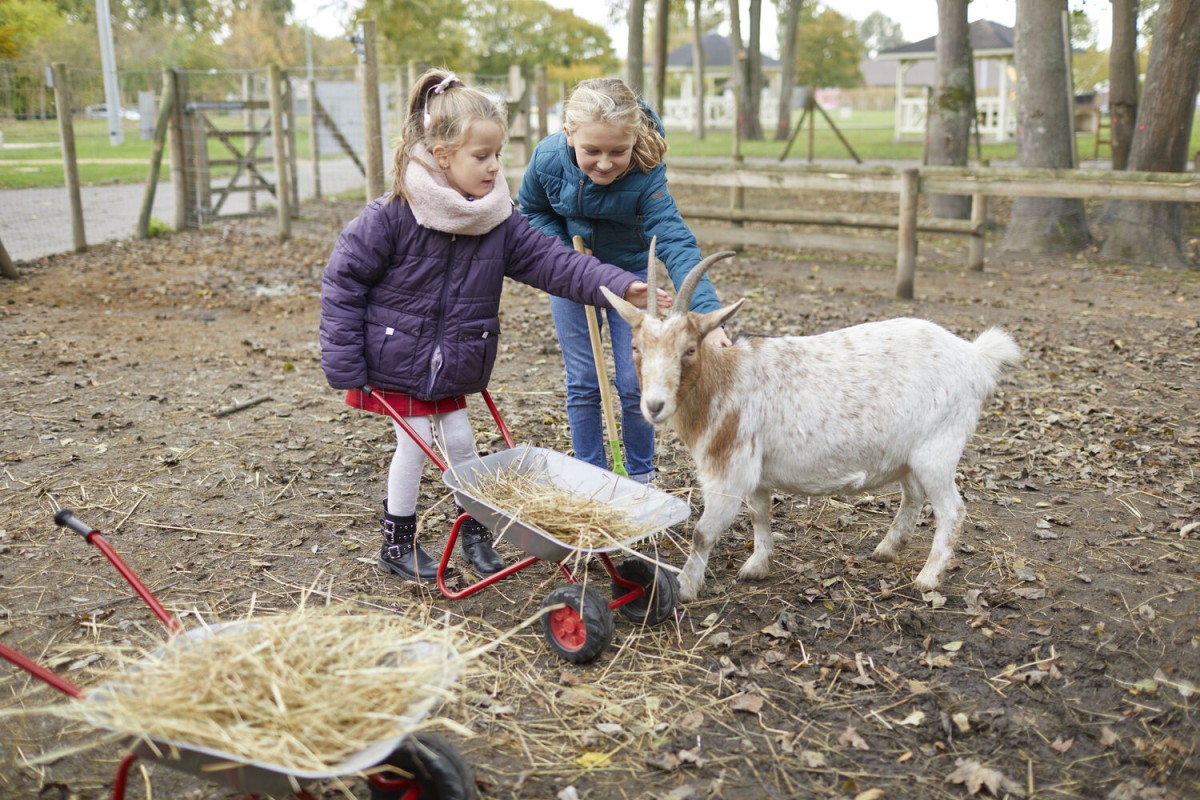 MINI FERMIER - Oise.fun