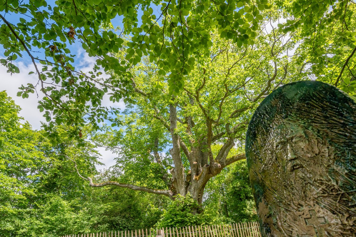 Mythes et légendes à la colline Sainte-Hélène - Oise.fun