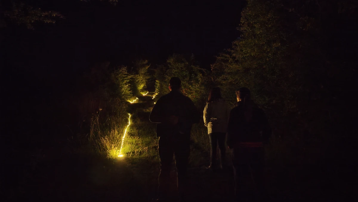 Nuit sous les étoiles & légende vivante sur la colline Sainte-Hélène - Oise.fun