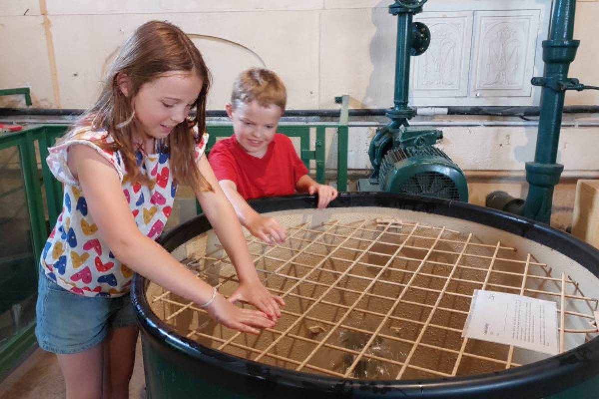 Un après-midi au Moulin – L’eau, les machines et la découverte en famille ! - Oise.fun