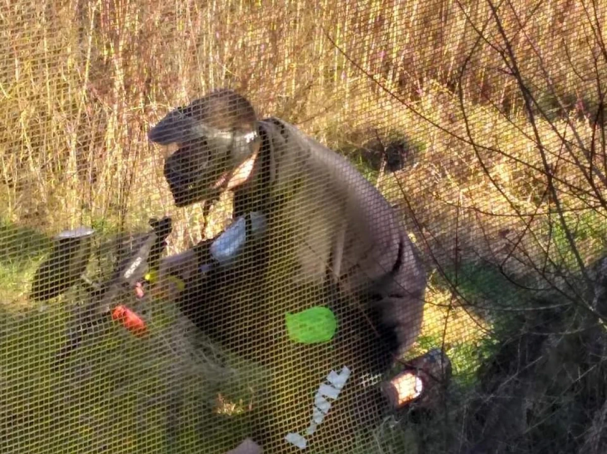 Paintball – Dégainez, visez… et survivez à la couleur ! - Oise.fun