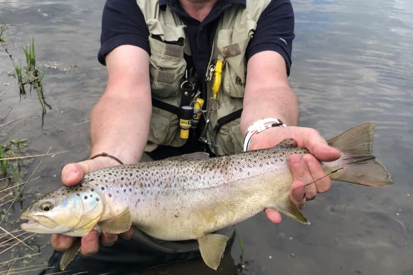 Pêche à la mouche de mai – Vivez les grandes éclosions avec un guide pro - Oise.fun