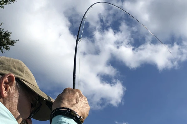 Pêche à la mouche de mai – Vivez les grandes éclosions avec un guide pro - Oise.fun