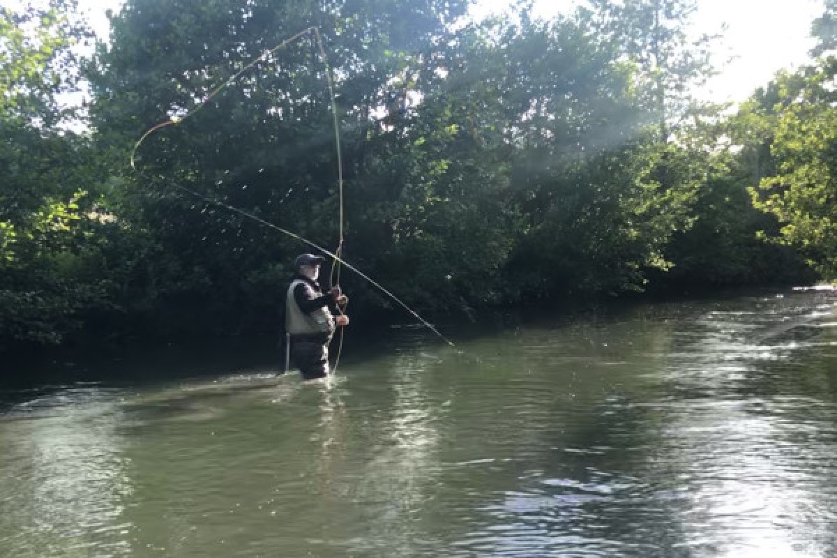 Pêche à la mouche en rivière – Truite sauvage et technique affûtée ! - Oise.fun