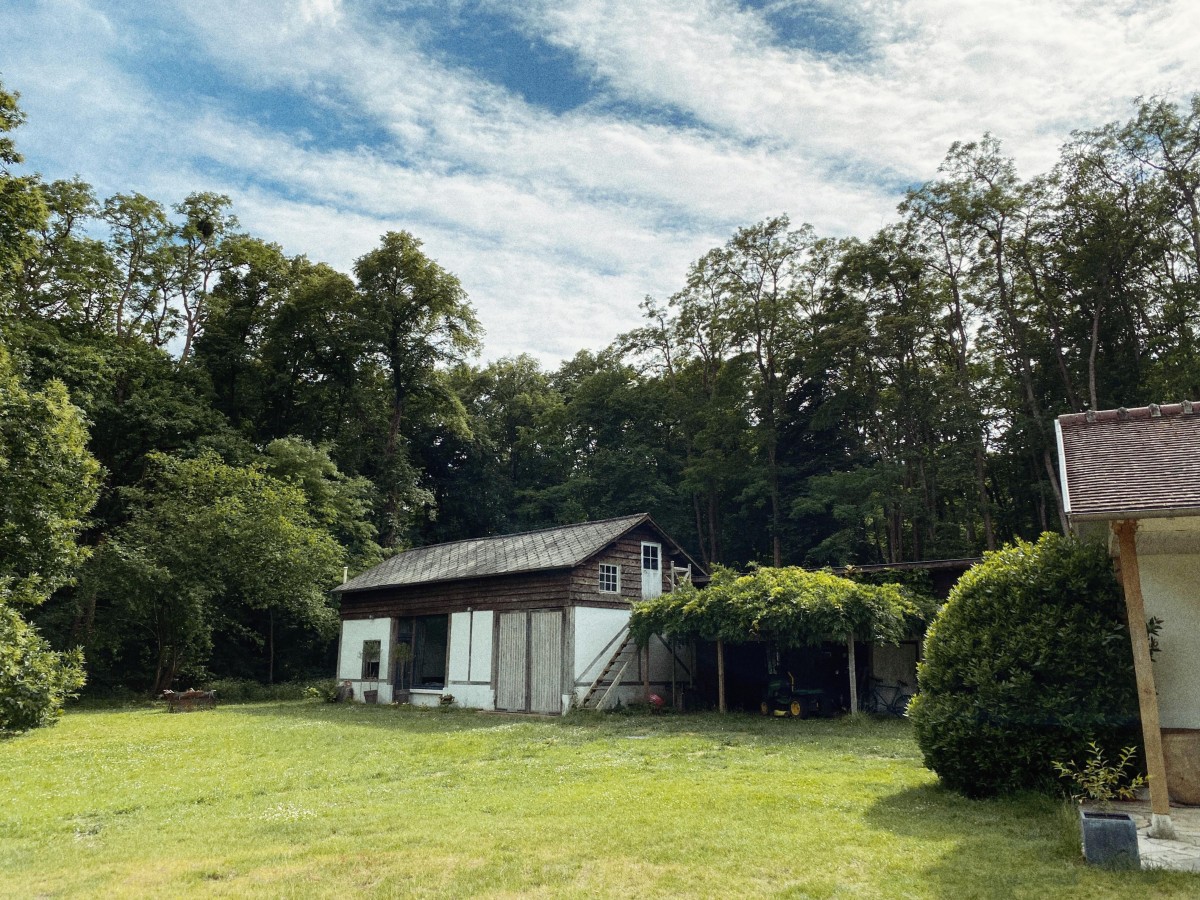 Stage de modelage en argile – 2 jours pour prendre le temps de sculpter - Oise.fun