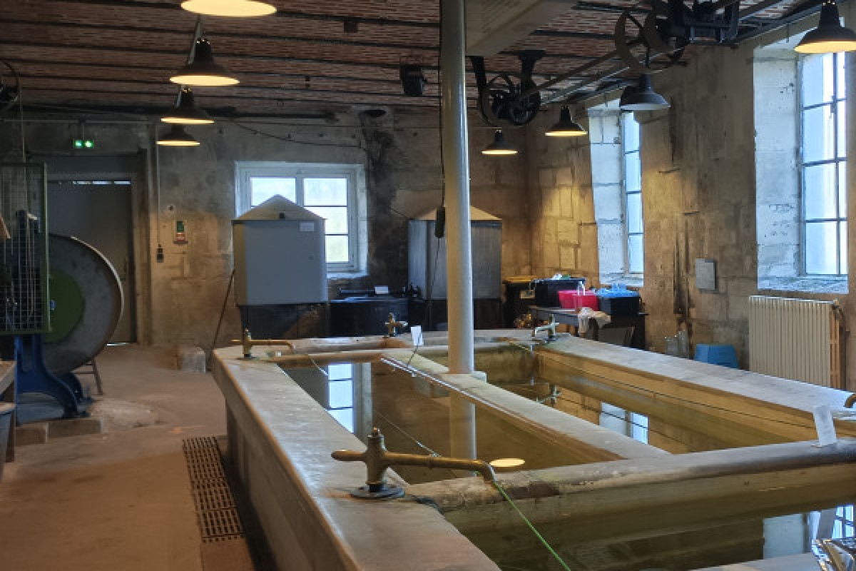 Explorez le Pavillon de Manse – La magie des machines d’antan - Oise.fun