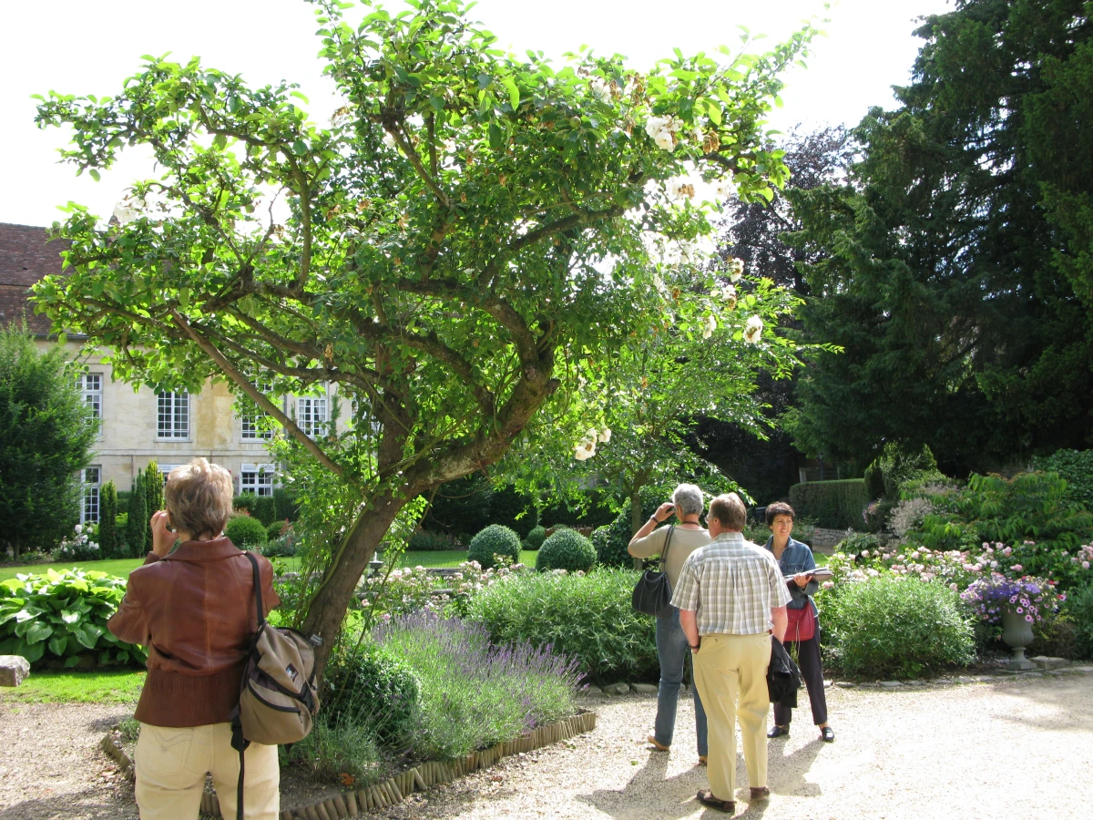 Balade d’automne dans les jardins de Senlis – Visite guidée poétique - Oise.fun
